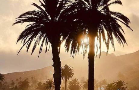 Casa victoria - Foto 55