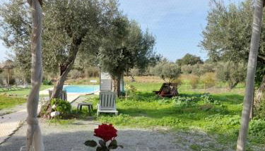 Monte da Masmorra de baixo-Casa Alentejana - Foto 3