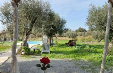 Monte da Masmorra de baixo-Casa Alentejana - Foto 9