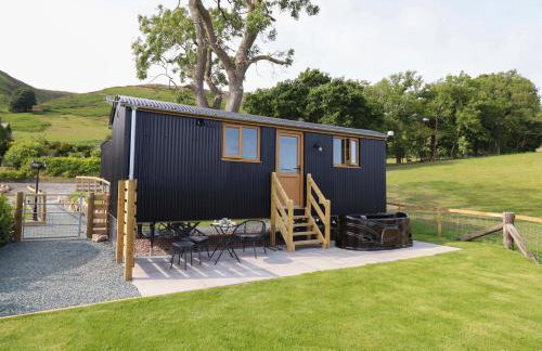 Defaid Cymreig - Foto 20