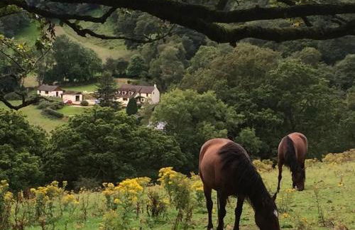 Ty Twt - complete holiday home - Photo 6