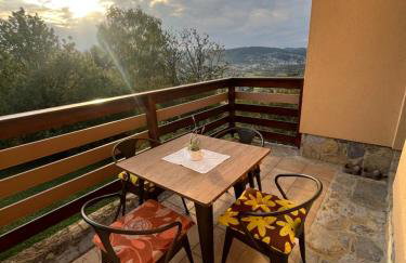 Kuća za odmor Bellevue - Foto 32