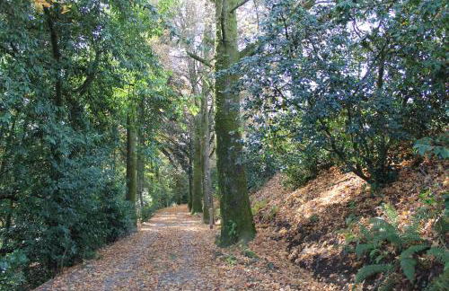 Minho House - Foto 15