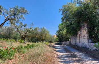 Villa PARADISO - Tra Ulivi e Tramonti da Cartolina - Foto 10