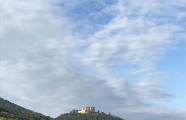 Ferienwohnung Vino Palatina - Foto 21