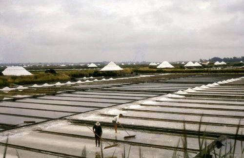 Quinta das Águias - Foto 14