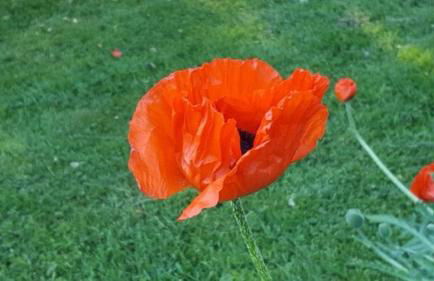 Ferienhaus Am alten Fachwerk - Foto 26