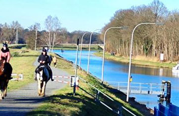 Grand Westfalia - Foto 33