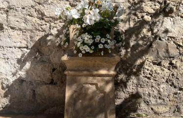 Starre Barn - Foto 6