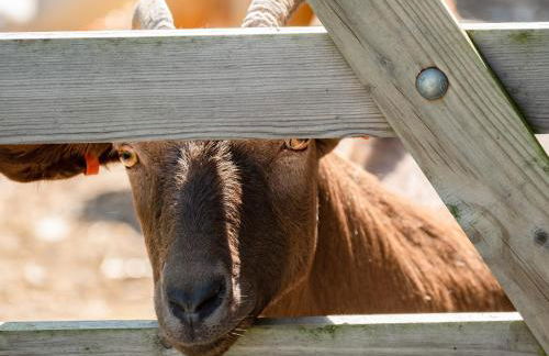 Puffin Lodge - Photo 25