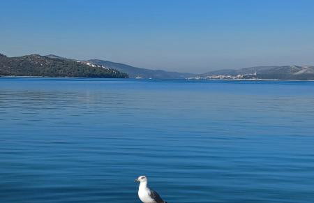 Apartment Adria Relax with private heated pool - Photo 27