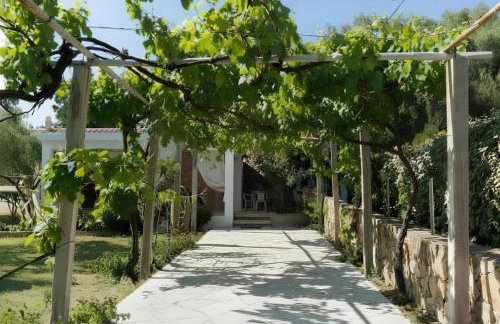 Casa Ginepro - Photo 19