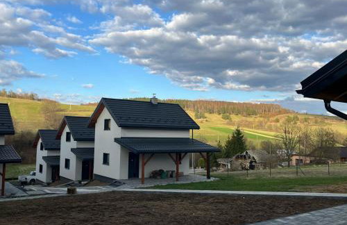 Domki w Bieszczadach Kuźmina - Foto 8