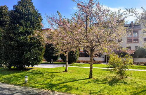 Il Girasole - Foto 17