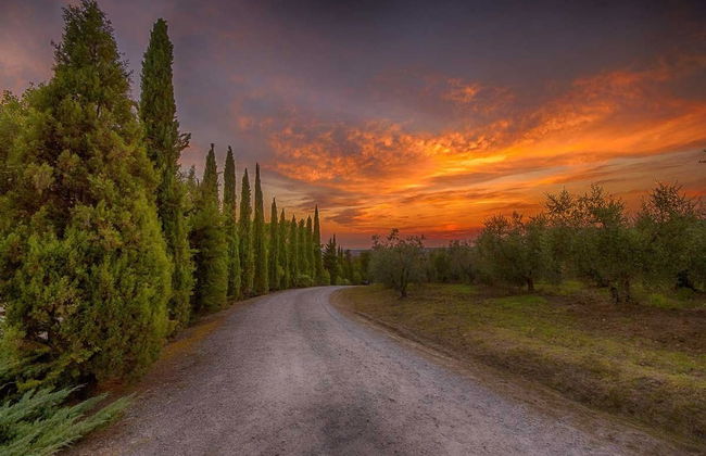 Castello di Spedaletto - Foto 46