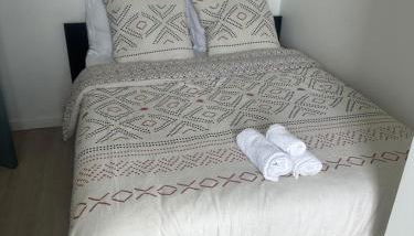 Appart de 5 chambres sur Nancy - Foto 5