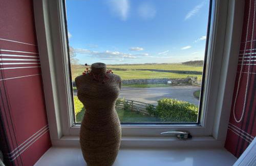 Moo House - Photo 33