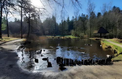 Ferienwohnung Tüchsen - Foto 28