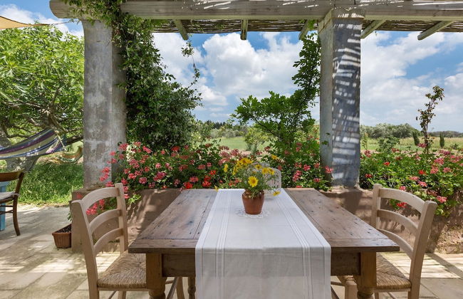 Le Cernicole - Foto 15