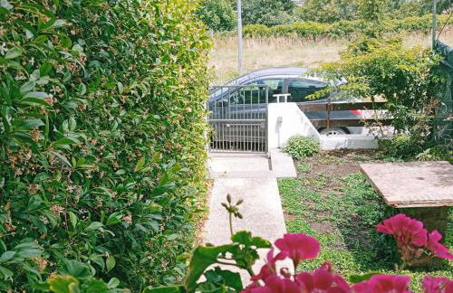 Spot on Civita - Foto 25