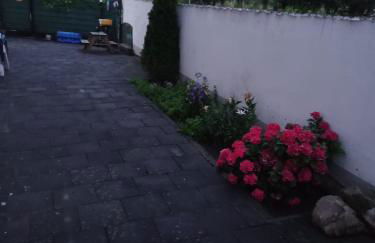 Ahr-Weinbergblick - Foto 19