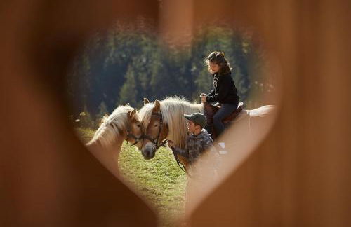 Sotciastel Antico Chalet - Foto 45