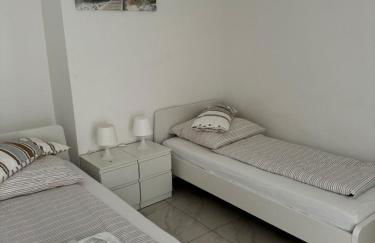 Sahara Falcon - Photo 16