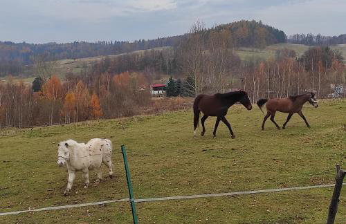 Śnieżna Chatka - Sosnówka Karpacz - Foto 25