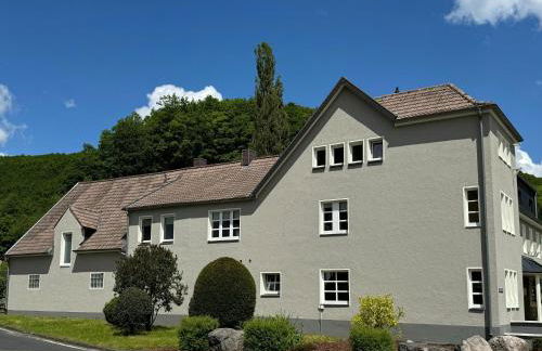Grosse Gruppenunterkunft im Nationalpark Eifel mit Bar und Terrasse - Foto 31