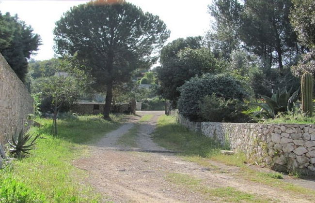 Villa Giulia - Photo 18