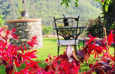 Green House - Foto 1