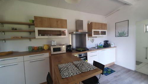 Studio avec jardin-Proche LDLC-Groupama Stadium-Eurexpo-métro - Foto 4