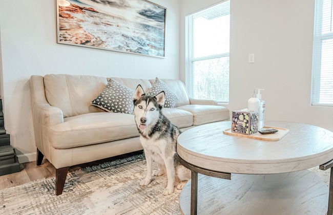 Spacious Cozy 6BR for 14- Lgbtq Friendly 2260 - Photo 7