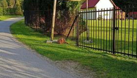 Mogielicki Zakątek - Foto 2