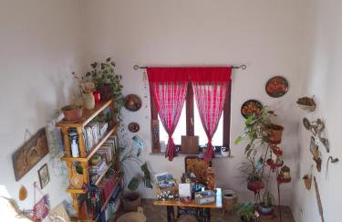 Apartman Bepo - Photo 15