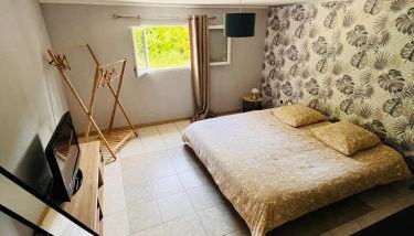 Location T3 jardin avec piscine - Foto 4