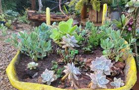 Chácara Recanto da Paz - Photo 58