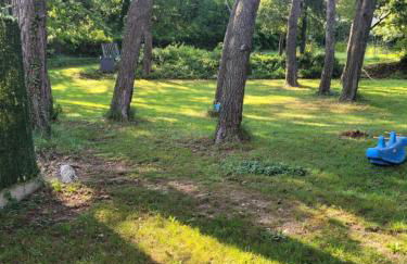 Calourasso - Foto 14