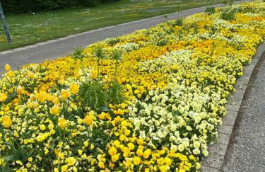 Appartementhof Stadler - Foto 46