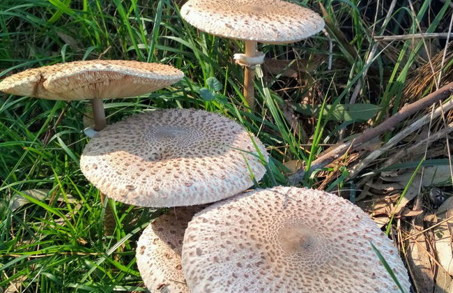 Casa de Verdes - In Cabana de Bergantinos - Photo 147