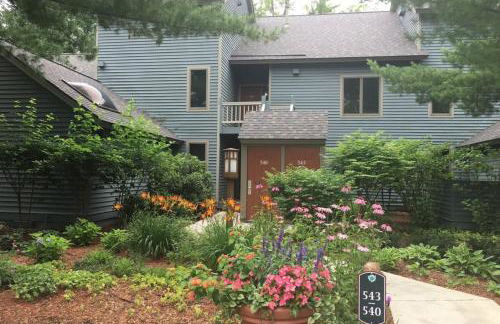 Wintergreen Condo, Unit #543 - Foto 26