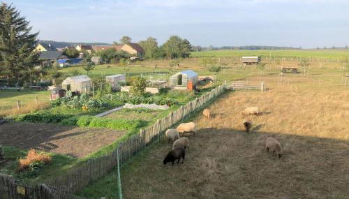Hirtenwohnung im Arbeiterhaus - Foto 4