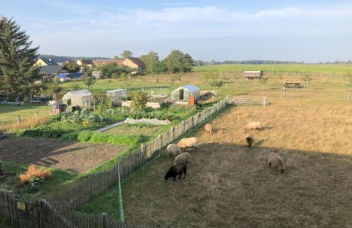 Hirtenwohnung im Arbeiterhaus - Foto 4