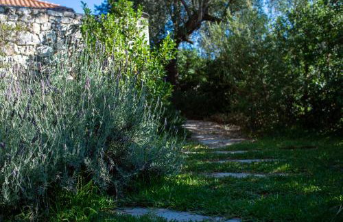 Arterravilla, a hidden sanctuary. - Foto 12