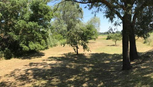 Domaine de Favette - Foto 5, Garden