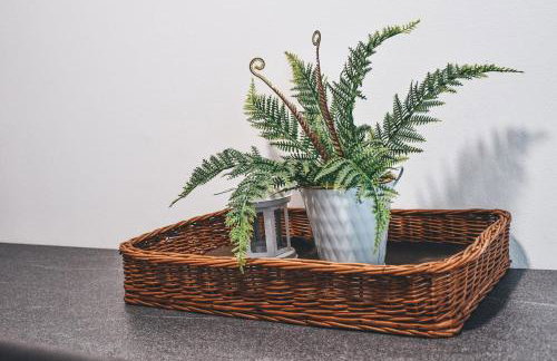 Villa-Apartments Bognar - Photo 13