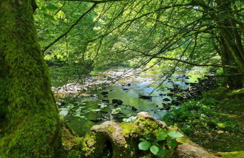 Ferienhaus Dröfter Blick - Foto 56