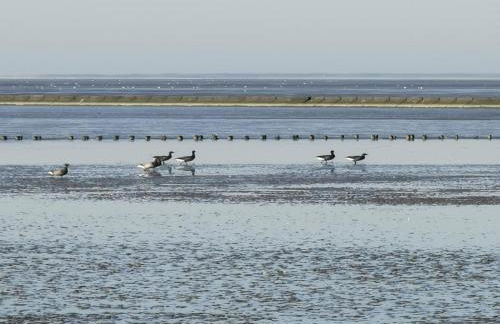 NEU Ferienwohnung Wellenrauschen - Foto 15