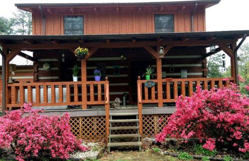 Tranquil Cabin with Hot Tub & Creek Views Near Bass Pro, Kodak Tennessee - Foto 7