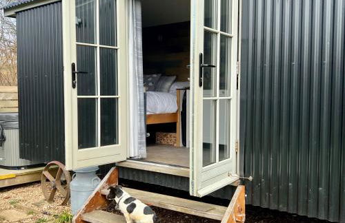 The Shepherds Snug - Photo 11